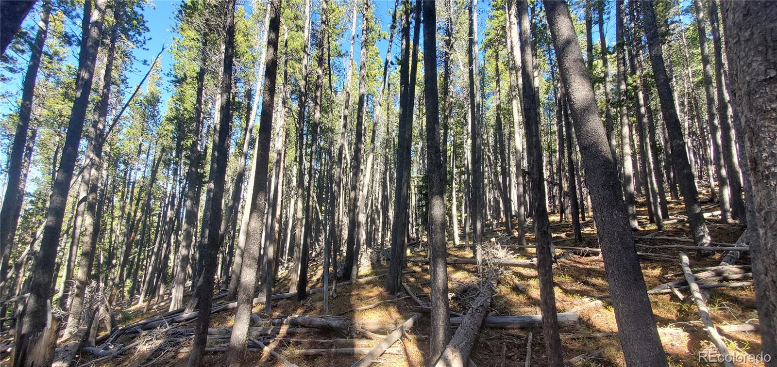 Lot 2682 & 2683 Purnell Lane Fort Garland CO 81133
