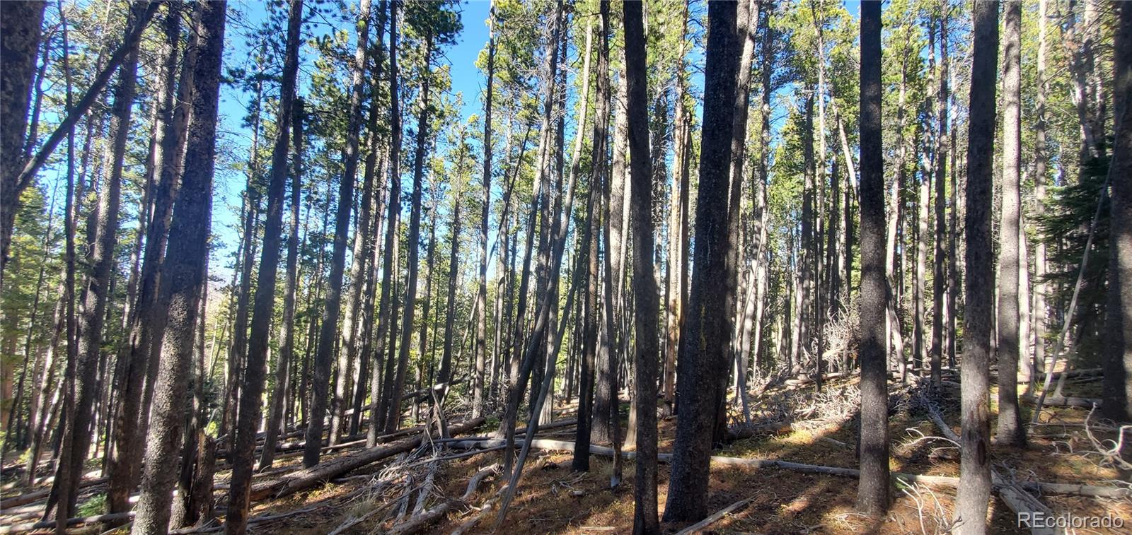 Lot 2682 & 2683 Purnell Lane Fort Garland CO 81133