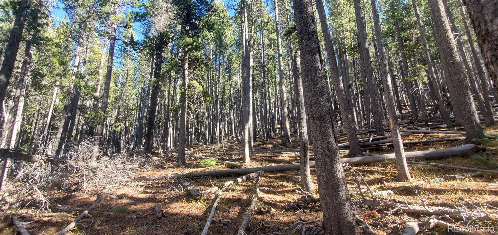 Lot 2682 & 2683 Purnell Lane Fort Garland CO 81133