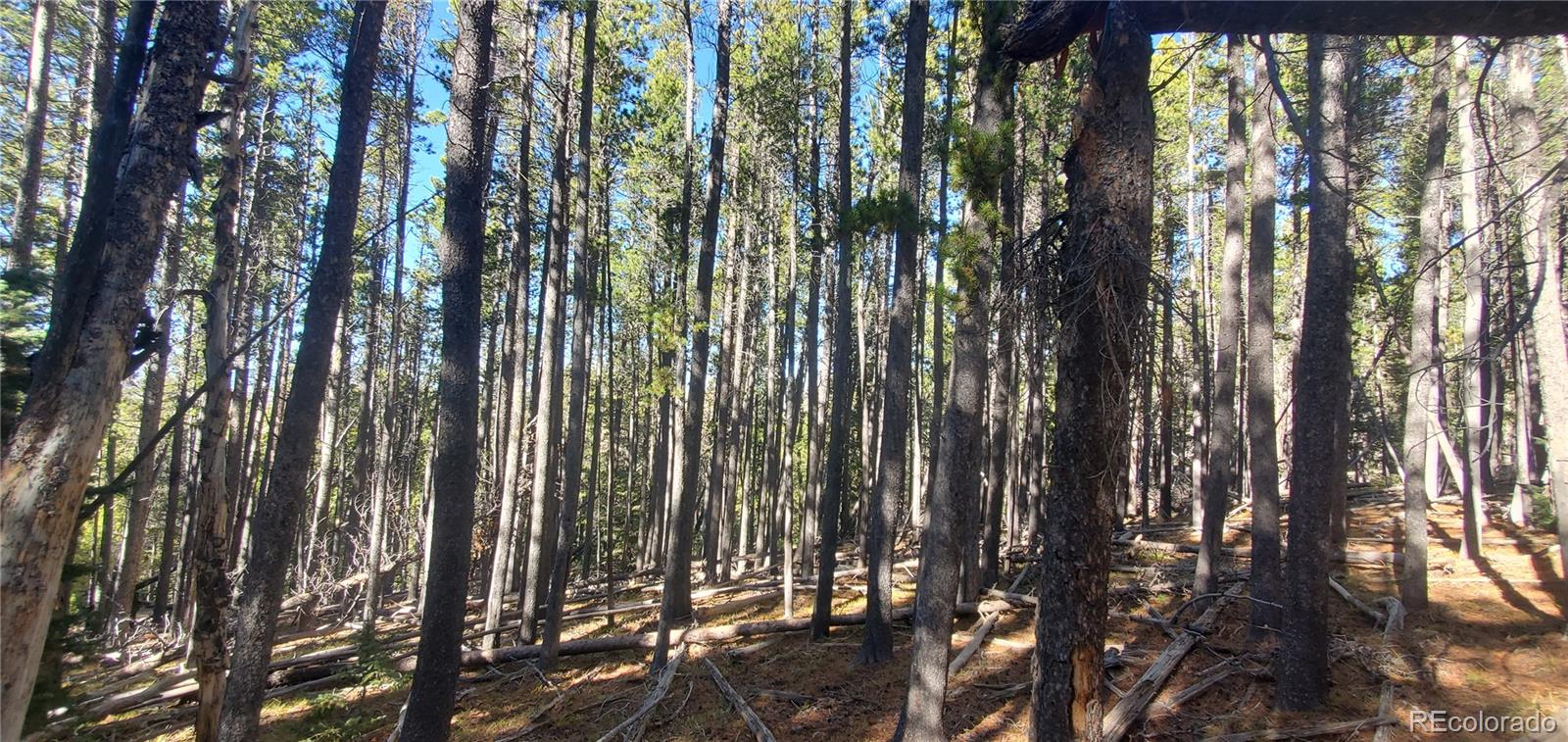 Lot 2682 & 2683 Purnell Lane Fort Garland CO 81133