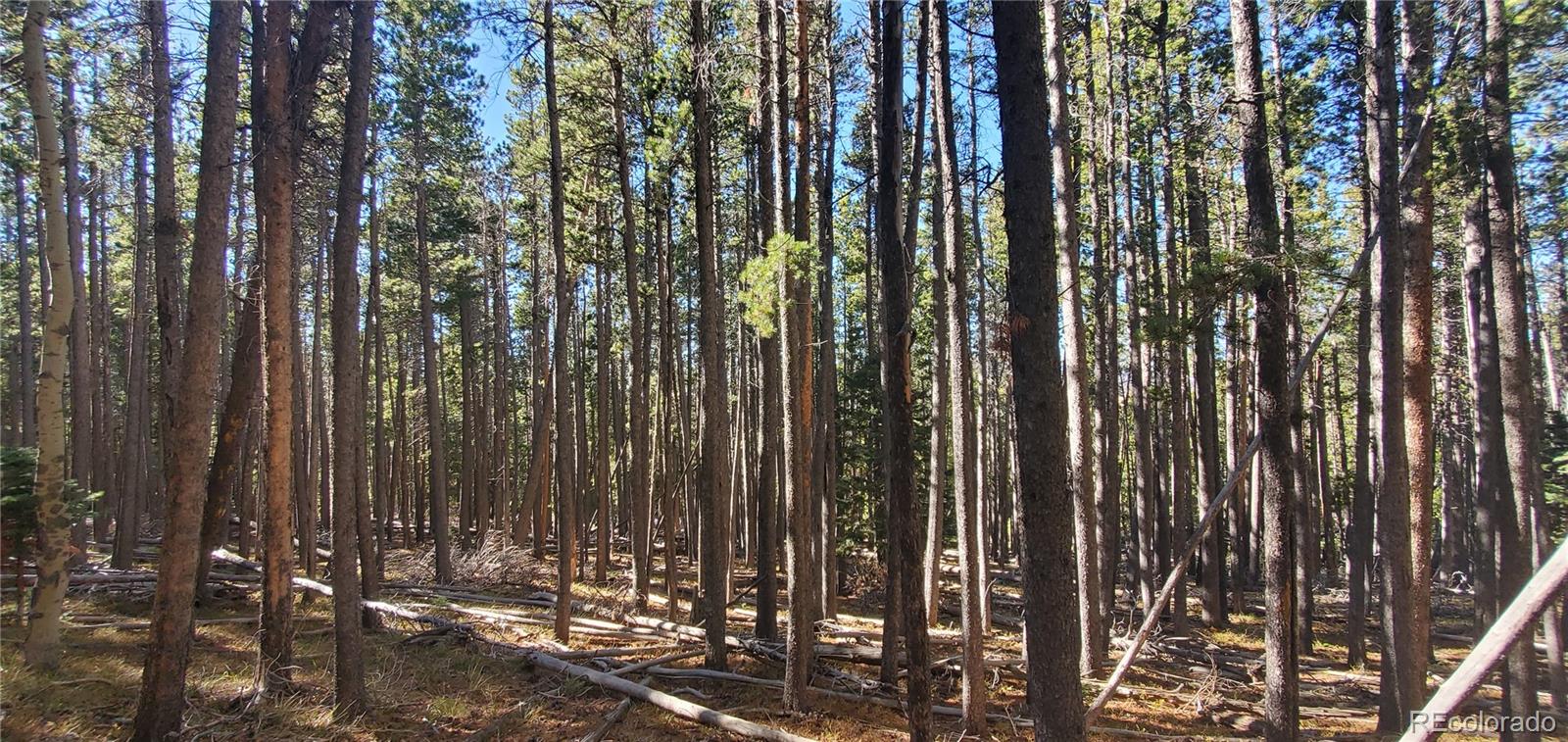 Lot 2682 & 2683 Purnell Lane Fort Garland CO 81133