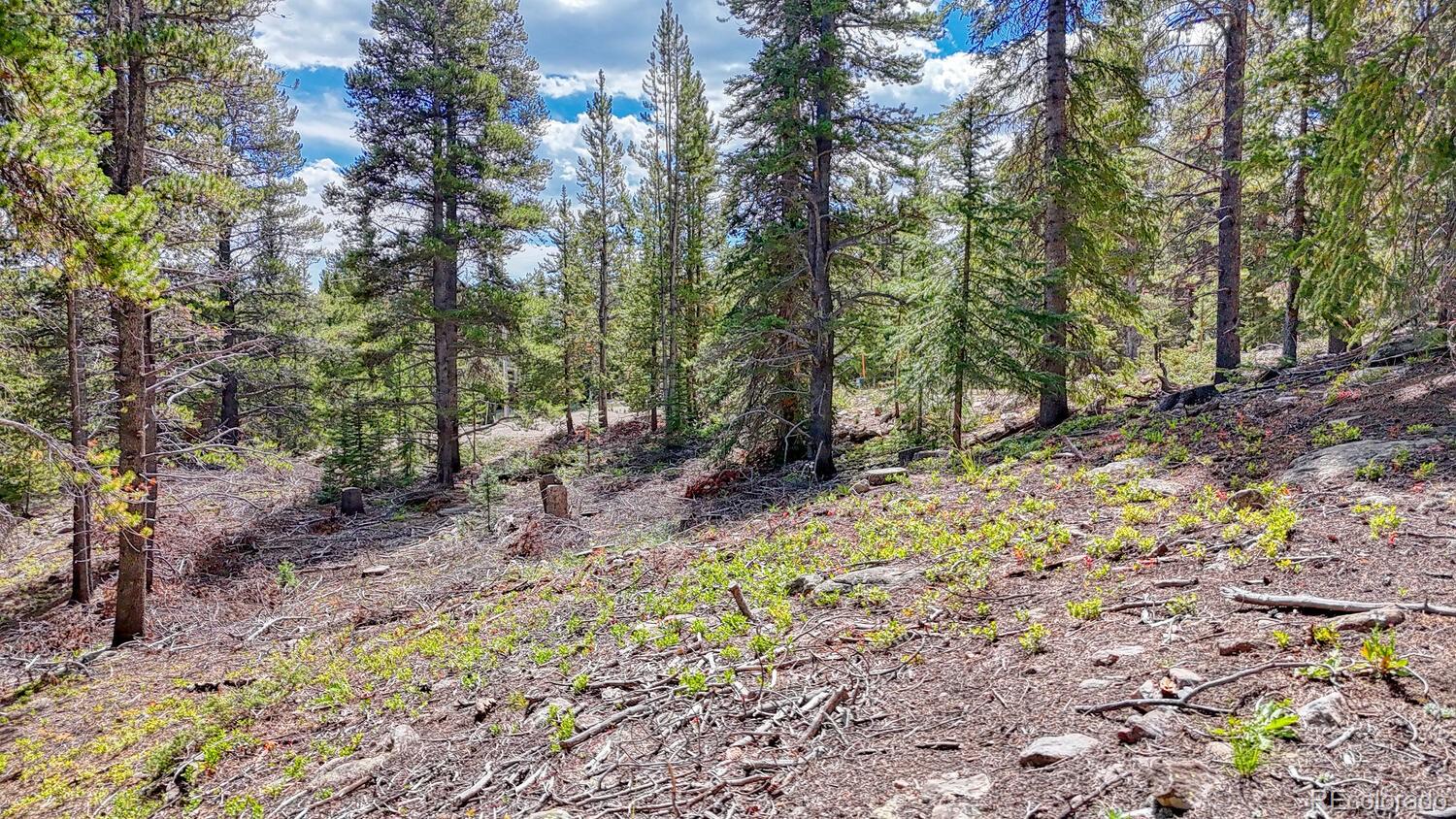126 Gold Trail Cutoff Fairplay CO 80440