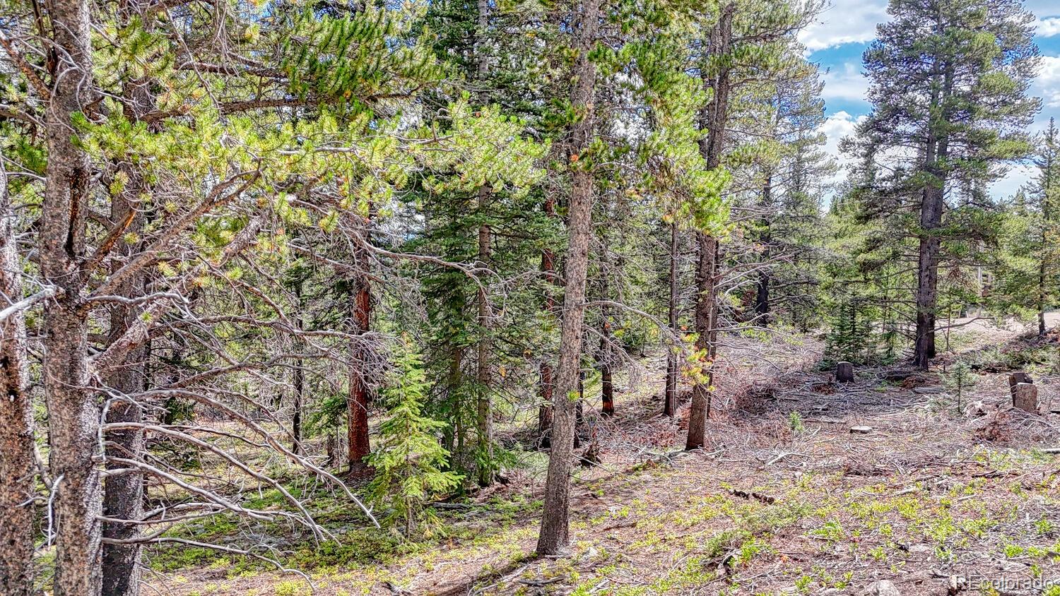 126 Gold Trail Cutoff Fairplay CO 80440