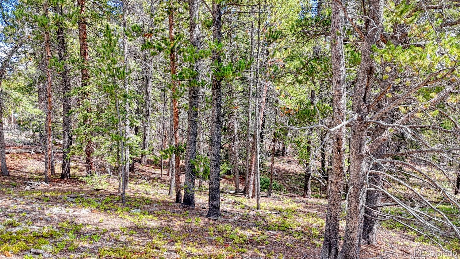 126 Gold Trail Cutoff Fairplay CO 80440