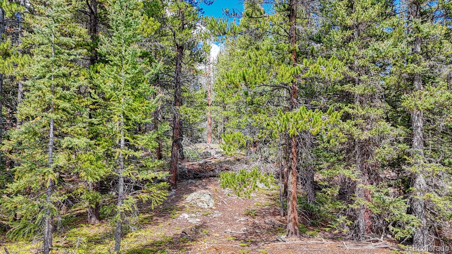 126 Gold Trail Cutoff Fairplay CO 80440