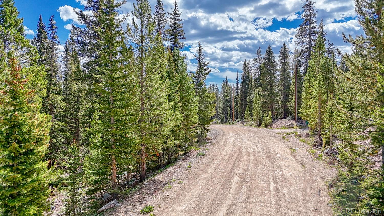 126 Gold Trail Cutoff Fairplay CO 80440