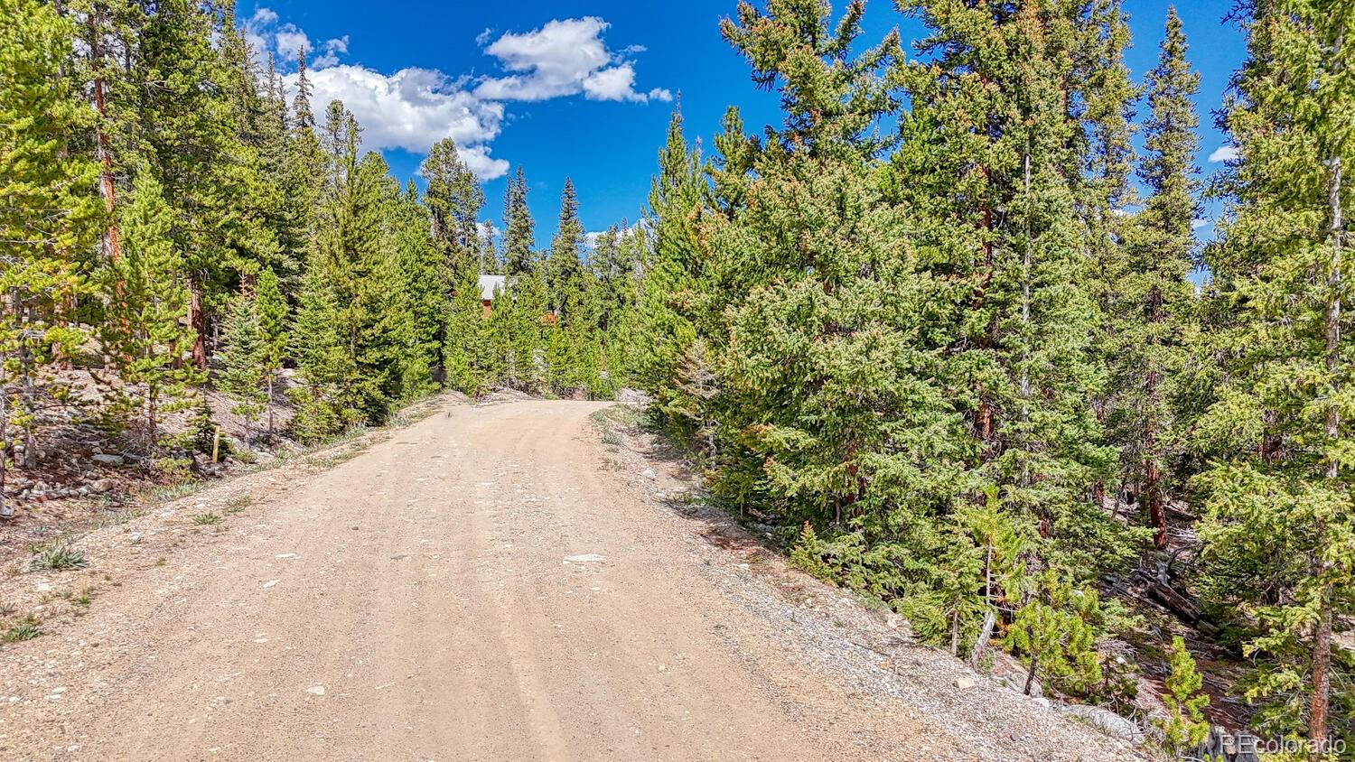 126 Gold Trail Cutoff Fairplay CO 80440