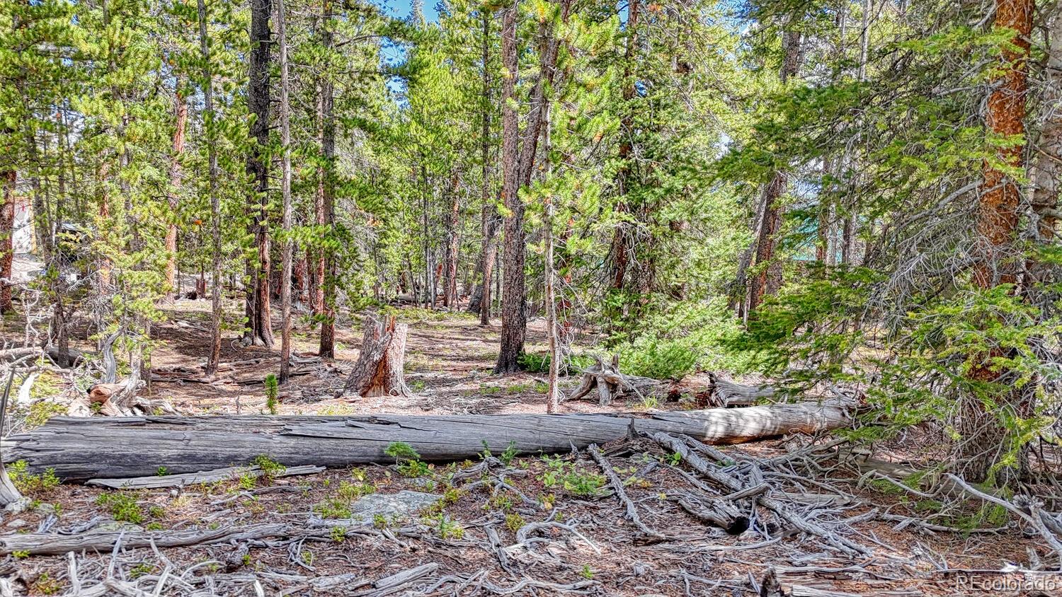 126 Gold Trail Cutoff Fairplay CO 80440