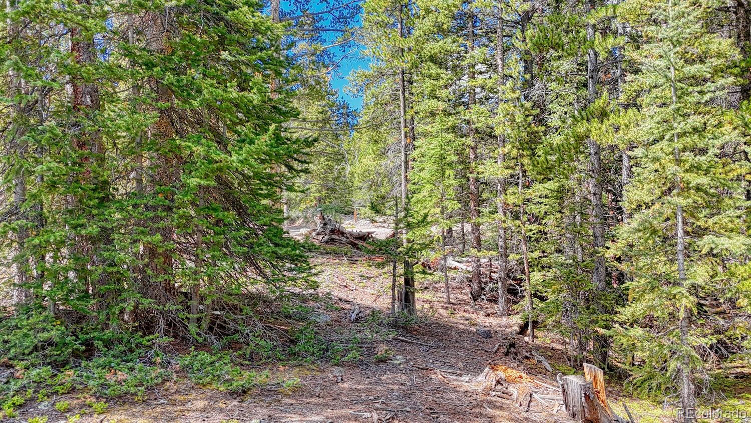 126 Gold Trail Cutoff Fairplay CO 80440