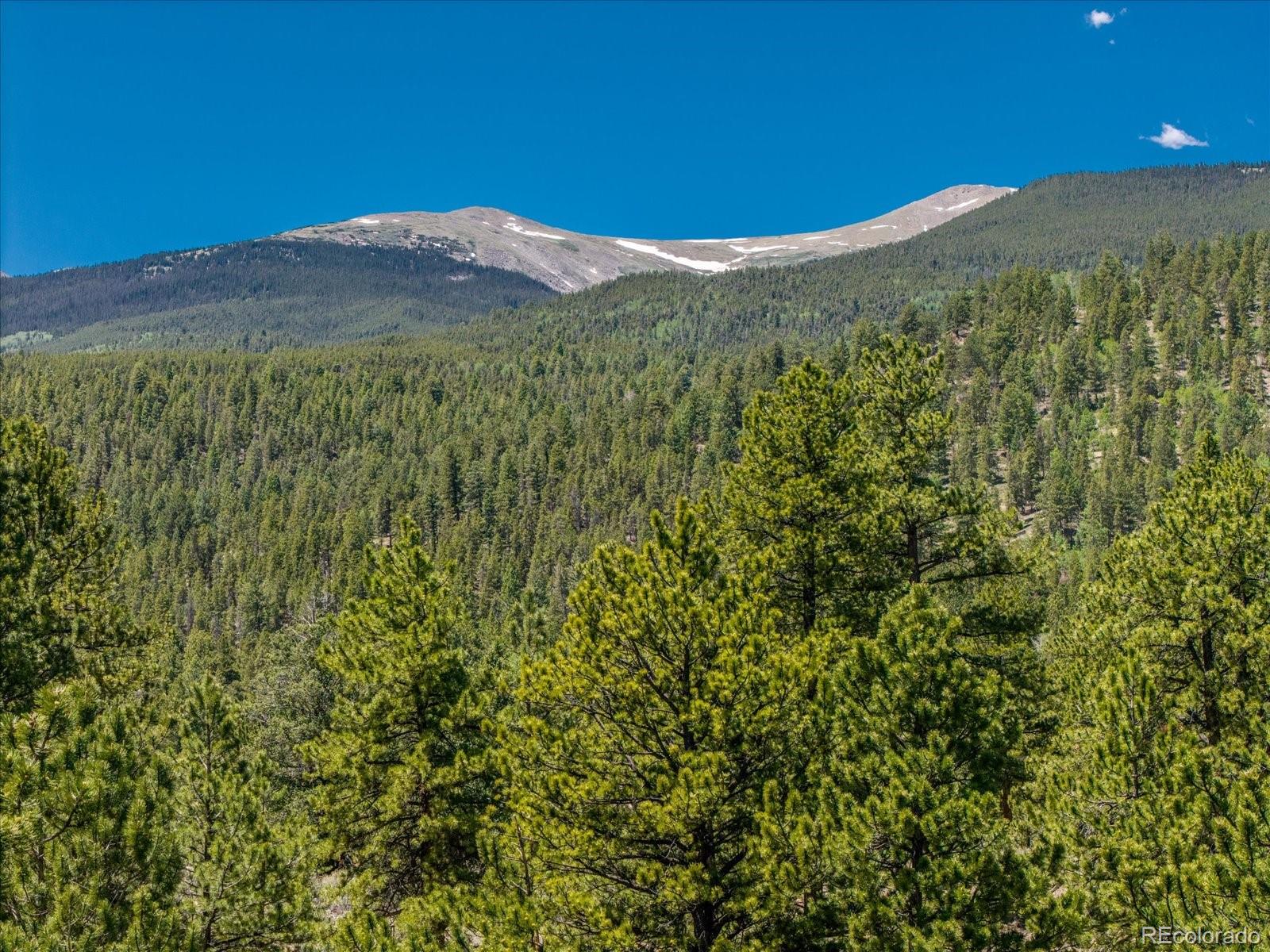 Overlook Drive Buena Vista CO 81211