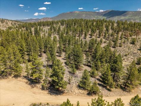 Overlook Drive Buena Vista CO 81211