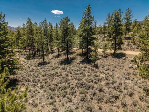 Overlook Drive Buena Vista CO 81211