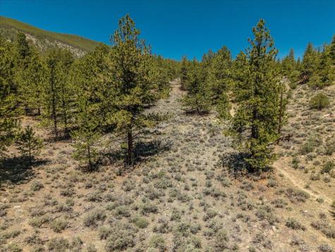 Overlook Drive Buena Vista CO 81211