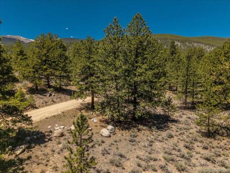 Overlook Drive Buena Vista CO 81211