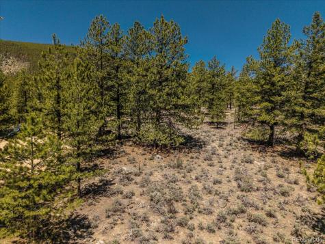 Overlook Drive Buena Vista CO 81211