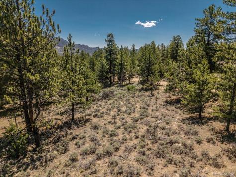 Overlook Drive Buena Vista CO 81211