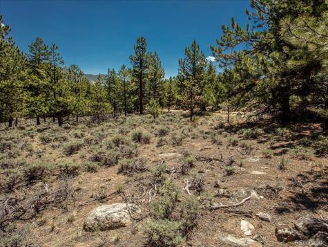 Overlook Drive Buena Vista CO 81211