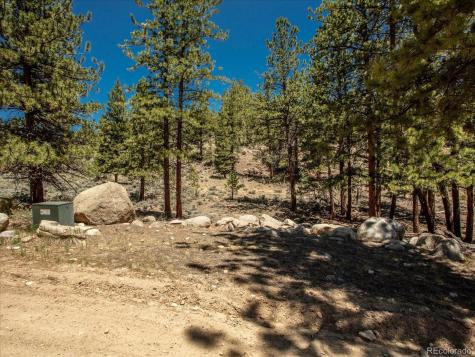 Overlook Drive Buena Vista CO 81211