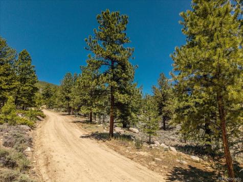 Overlook Drive Buena Vista CO 81211