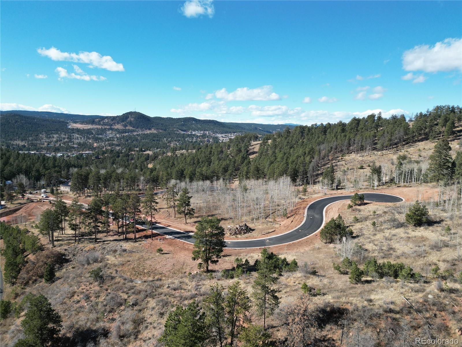 12 Blue Haven Place Woodland Park CO 80863