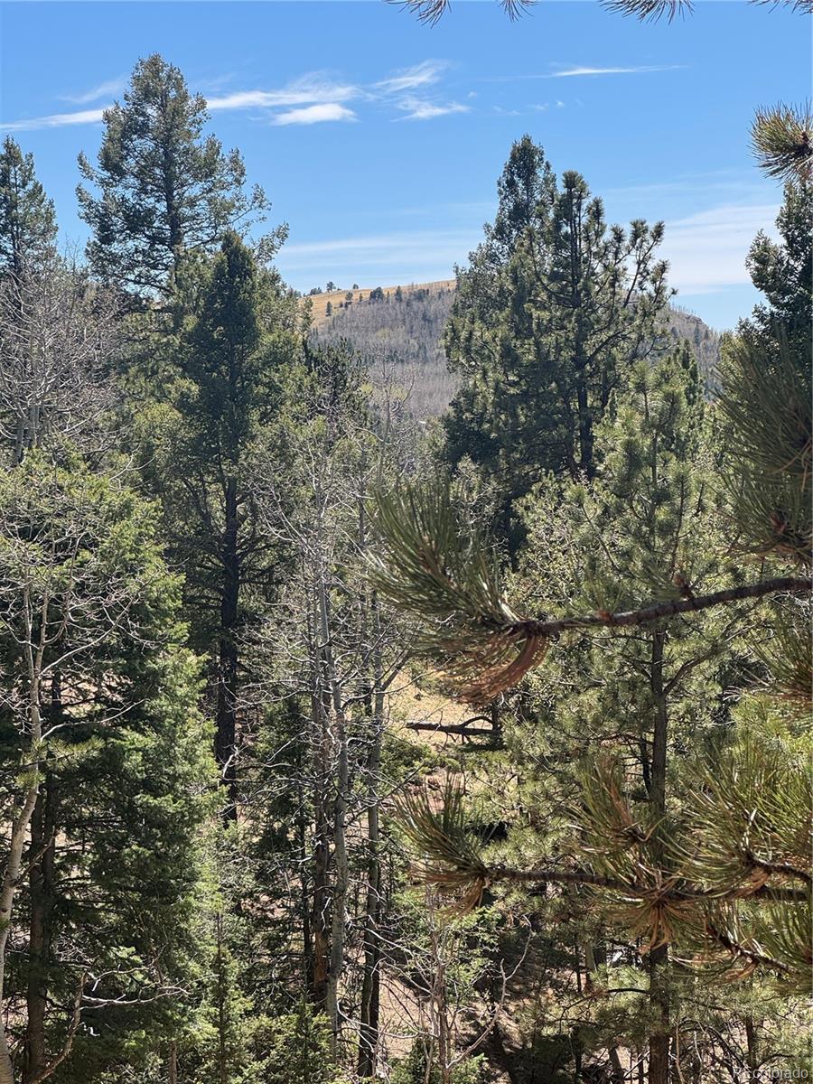288 Troy Drive Cripple Creek CO 80813