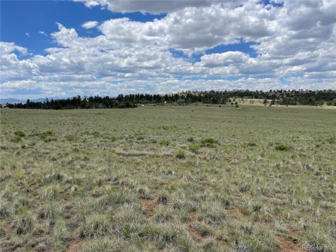 853 La Plata Drive Hartsel CO 80449