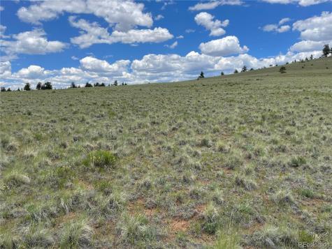 853 La Plata Drive Hartsel CO 80449