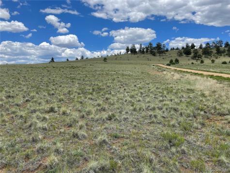 853 La Plata Drive Hartsel CO 80449