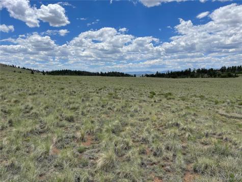 853 La Plata Drive Hartsel CO 80449