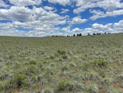 853 La Plata Drive Hartsel CO 80449