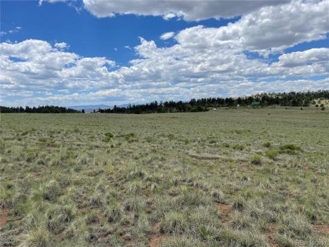 853 La Plata Drive Hartsel CO 80449