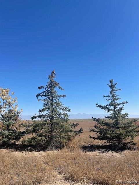 44001 County Road M Center CO 81125