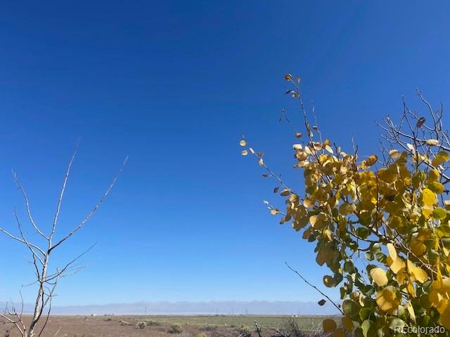 44001 County Road M Center CO 81125