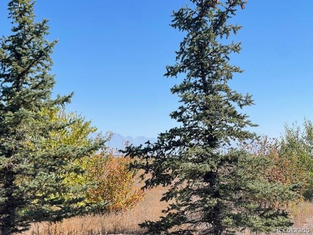 44001 County Road M Center CO 81125