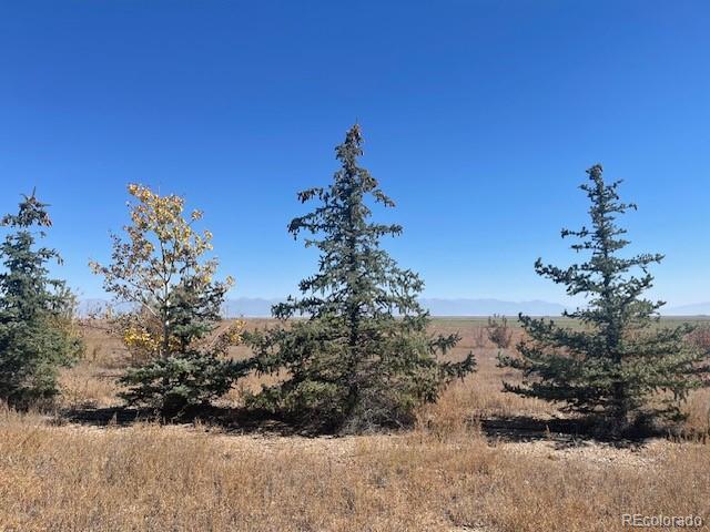 44001 County Road M Center CO 81125