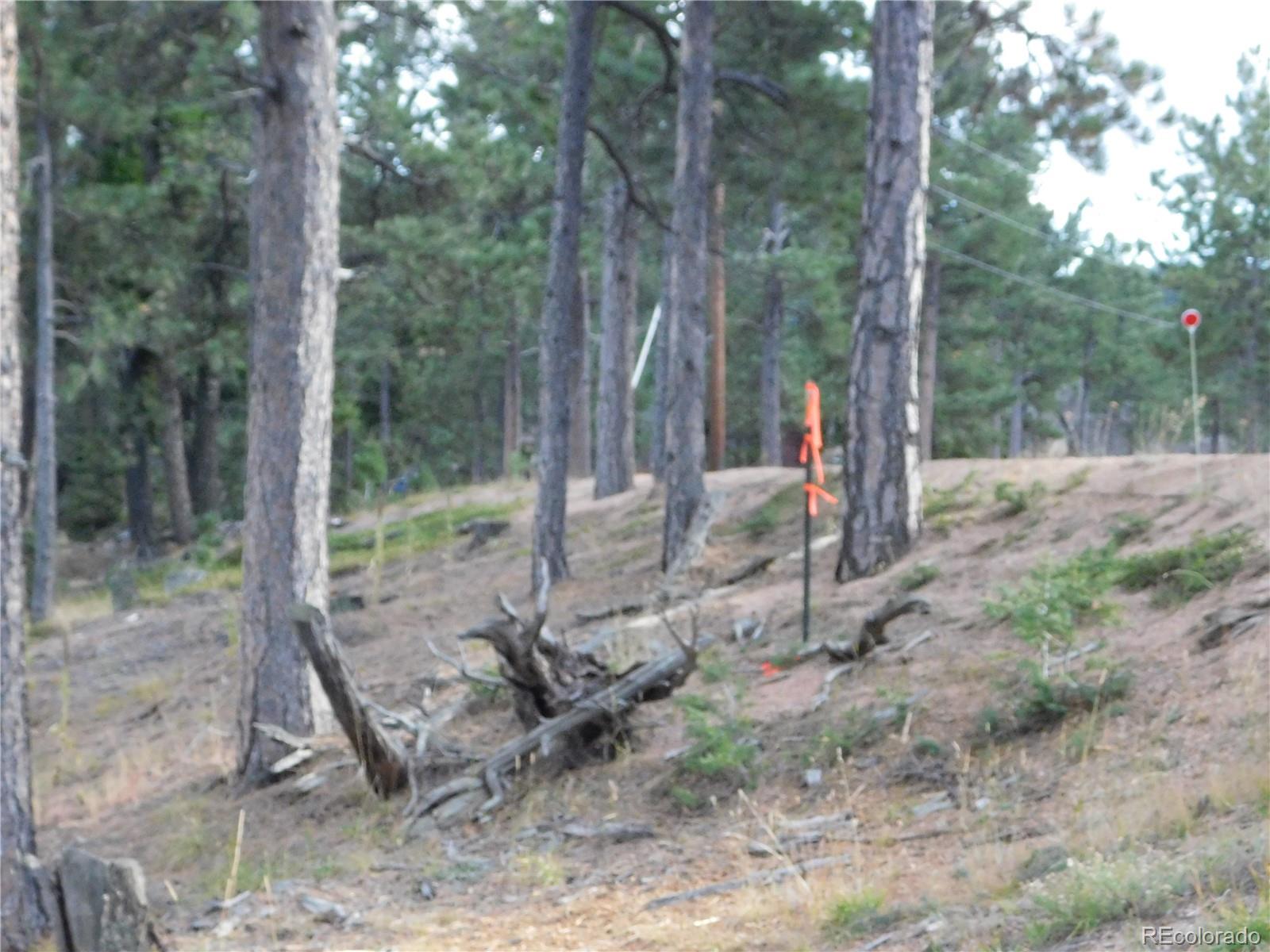 13910 Boulder Lane Larkspur CO 80118