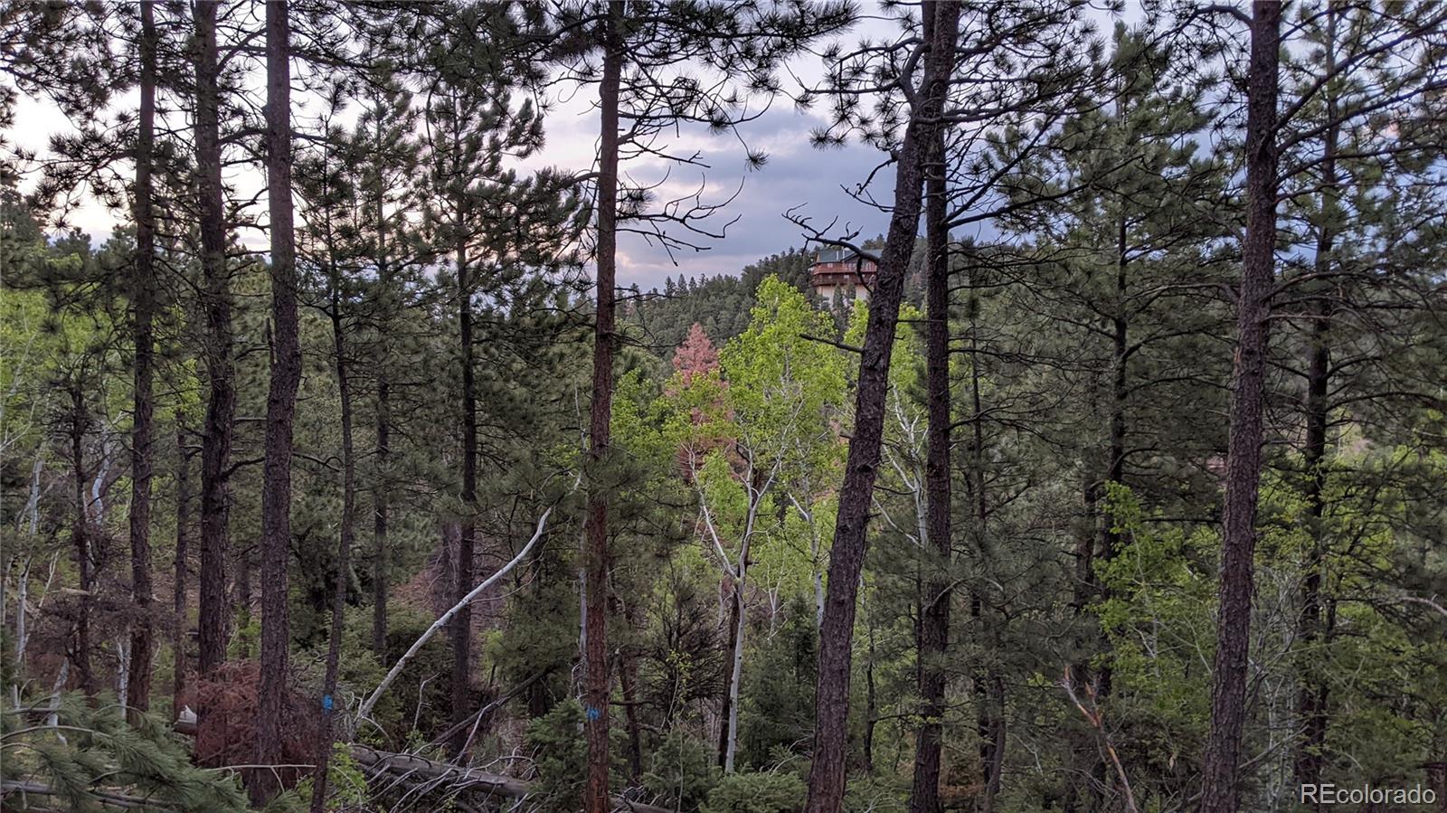 13910 Boulder Lane Larkspur CO 80118