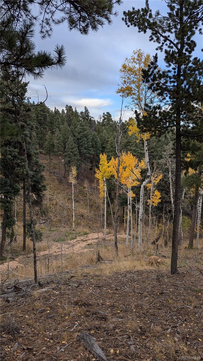 13910 Boulder Lane Larkspur CO 80118