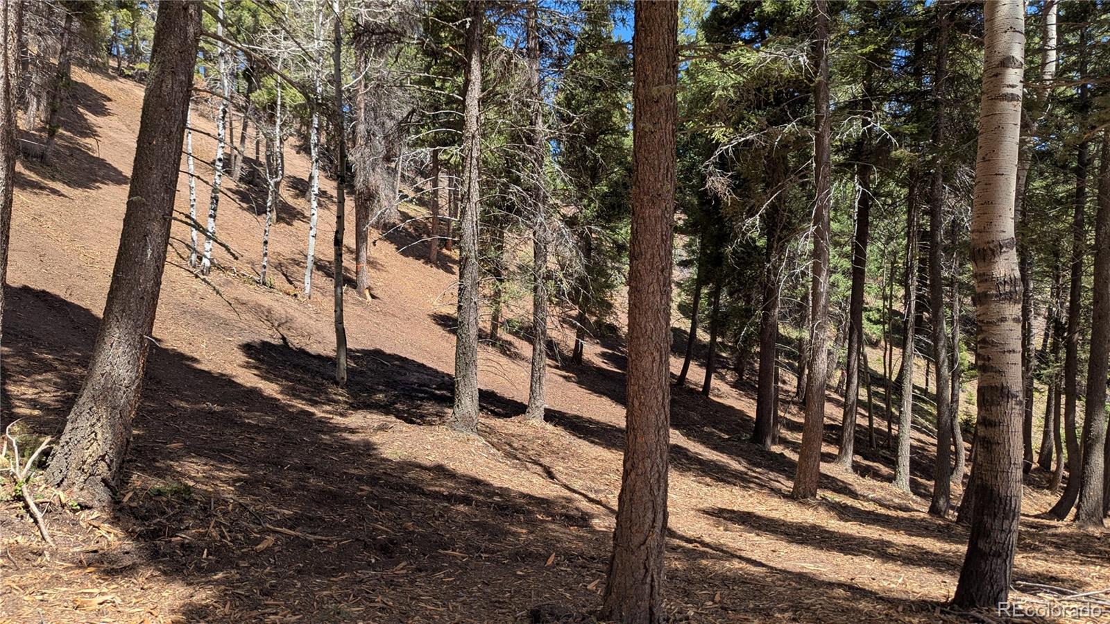 13910 Boulder Lane Larkspur CO 80118
