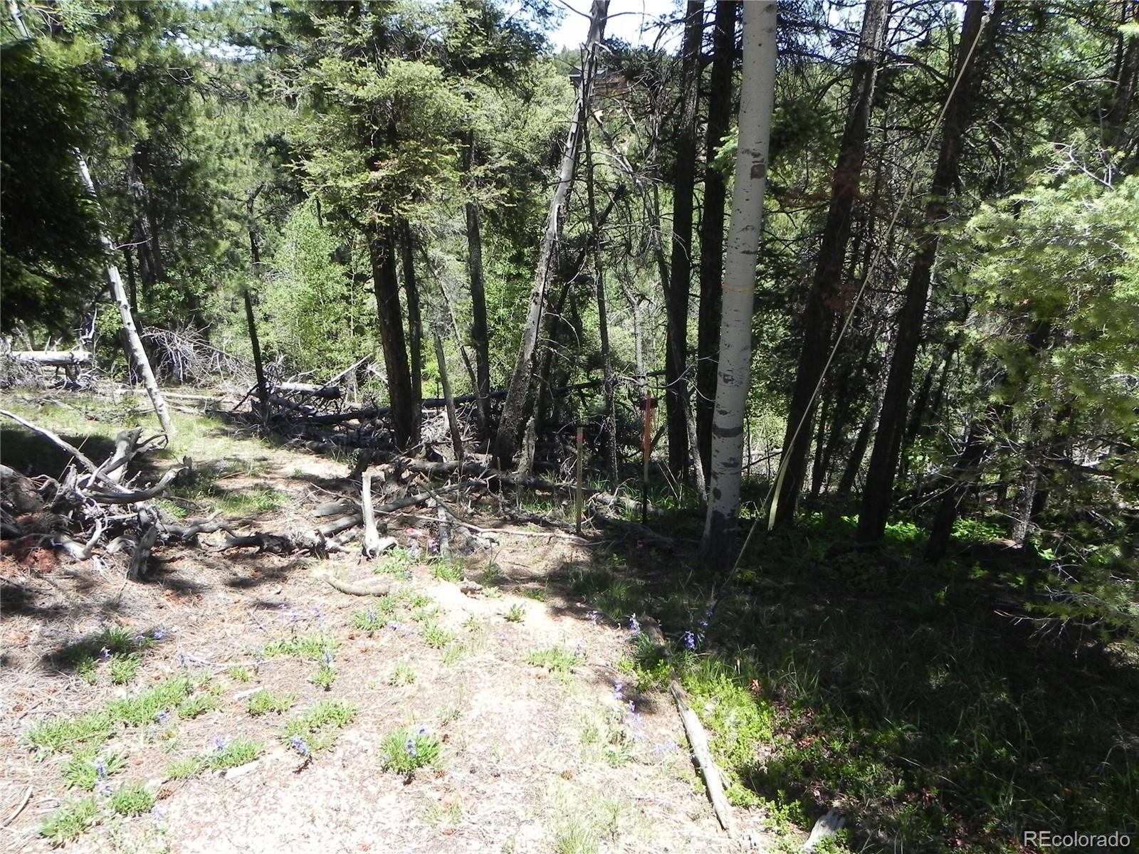13910 Boulder Lane Larkspur CO 80118