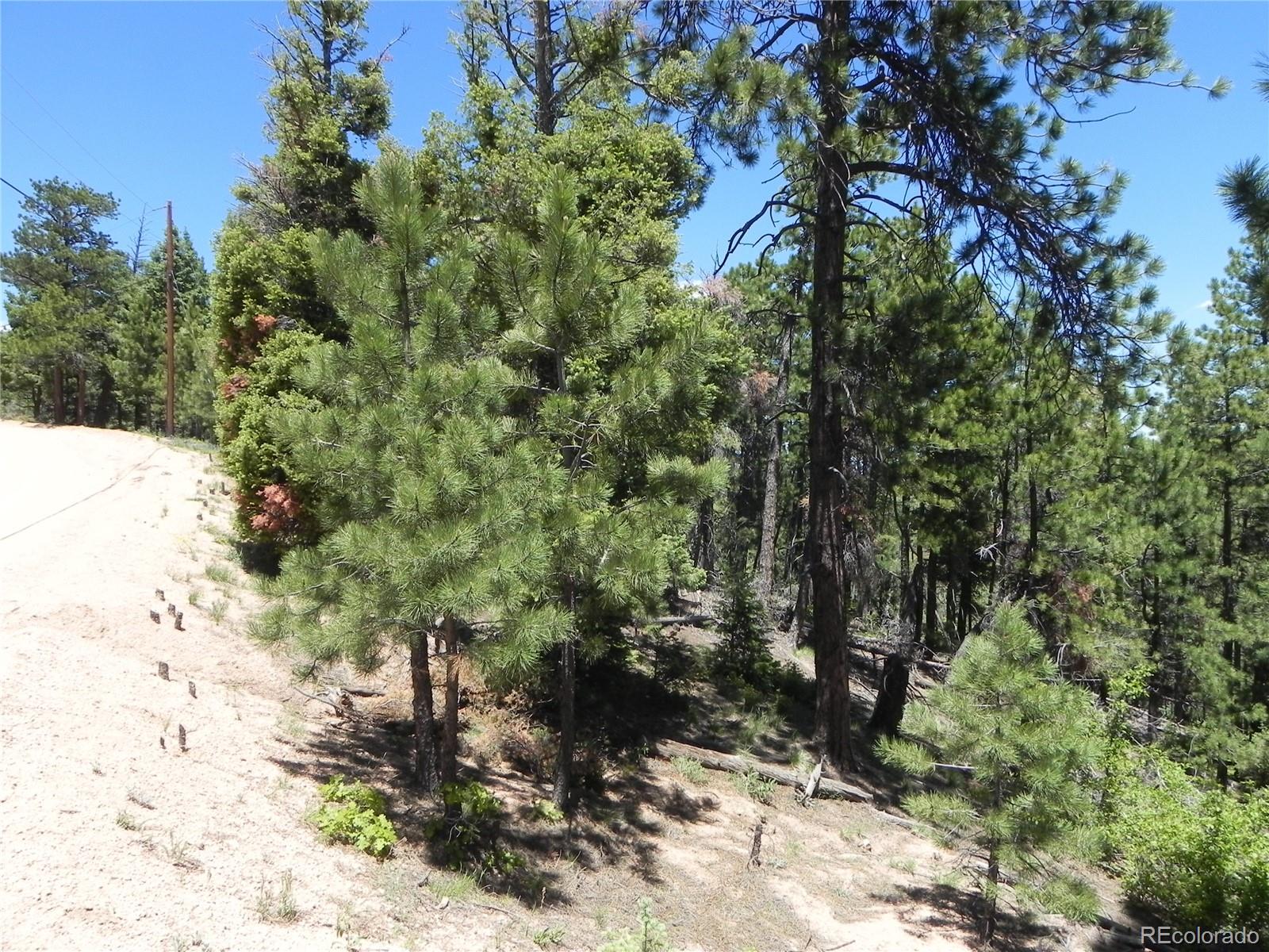 13910 Boulder Lane Larkspur CO 80118