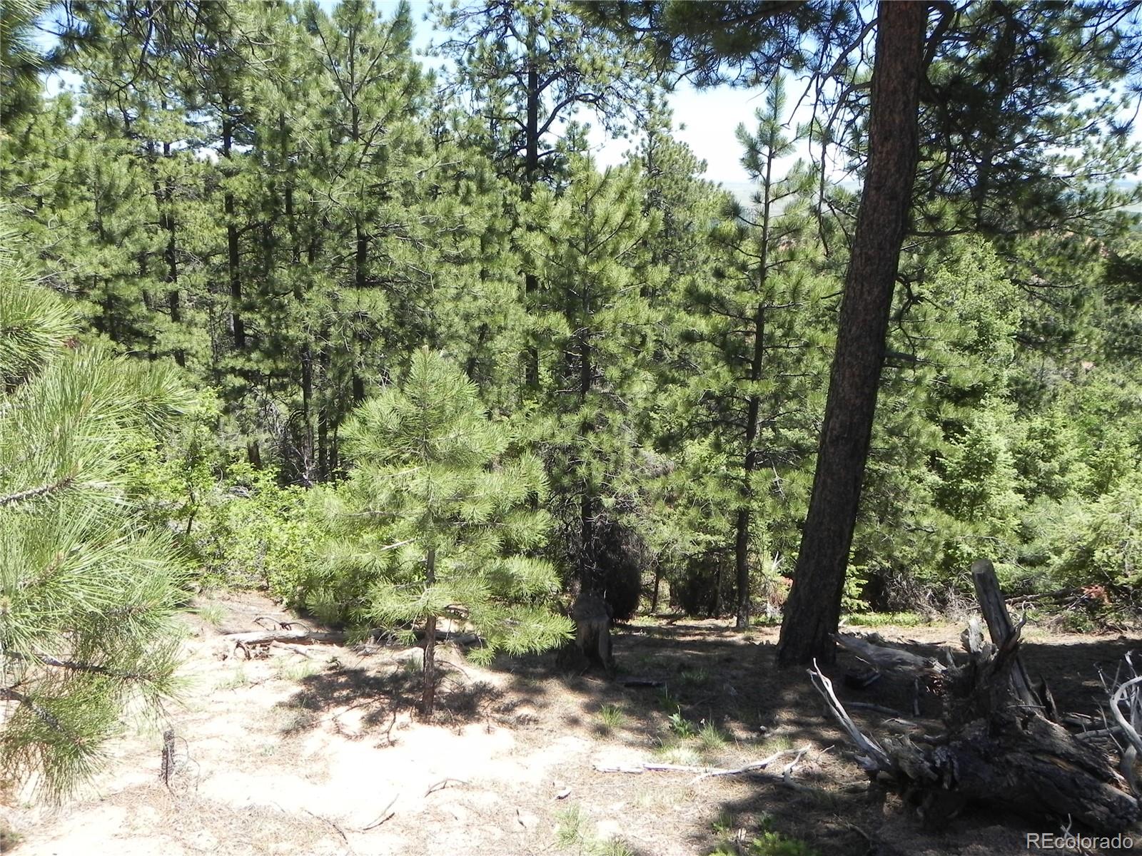 13910 Boulder Lane Larkspur CO 80118
