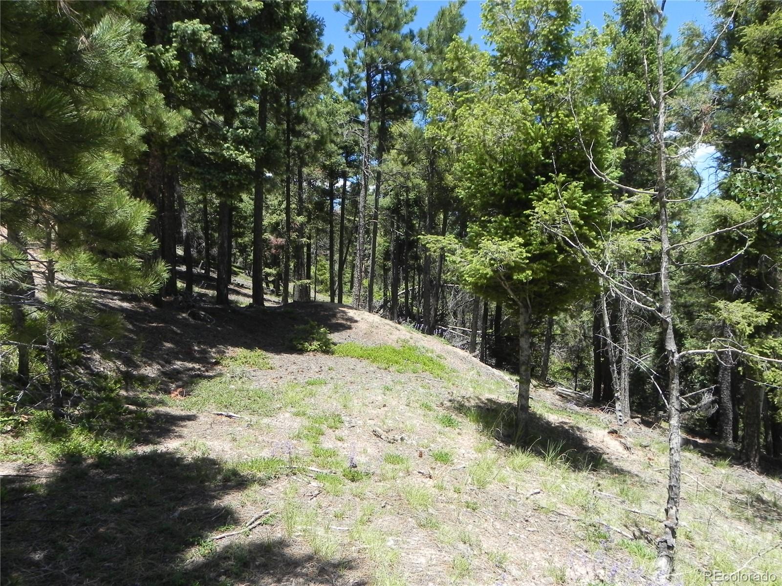 13910 Boulder Lane Larkspur CO 80118