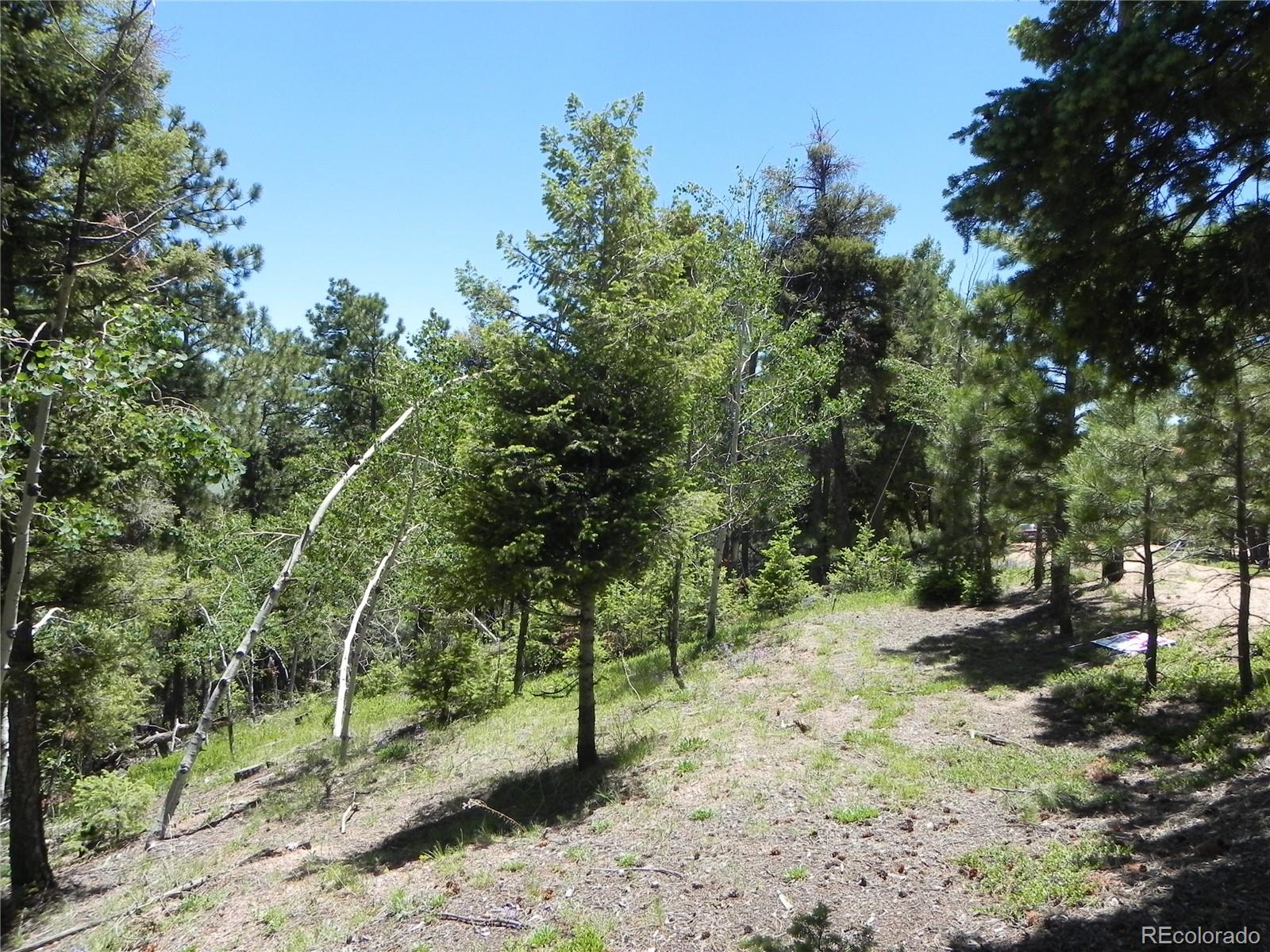13910 Boulder Lane Larkspur CO 80118