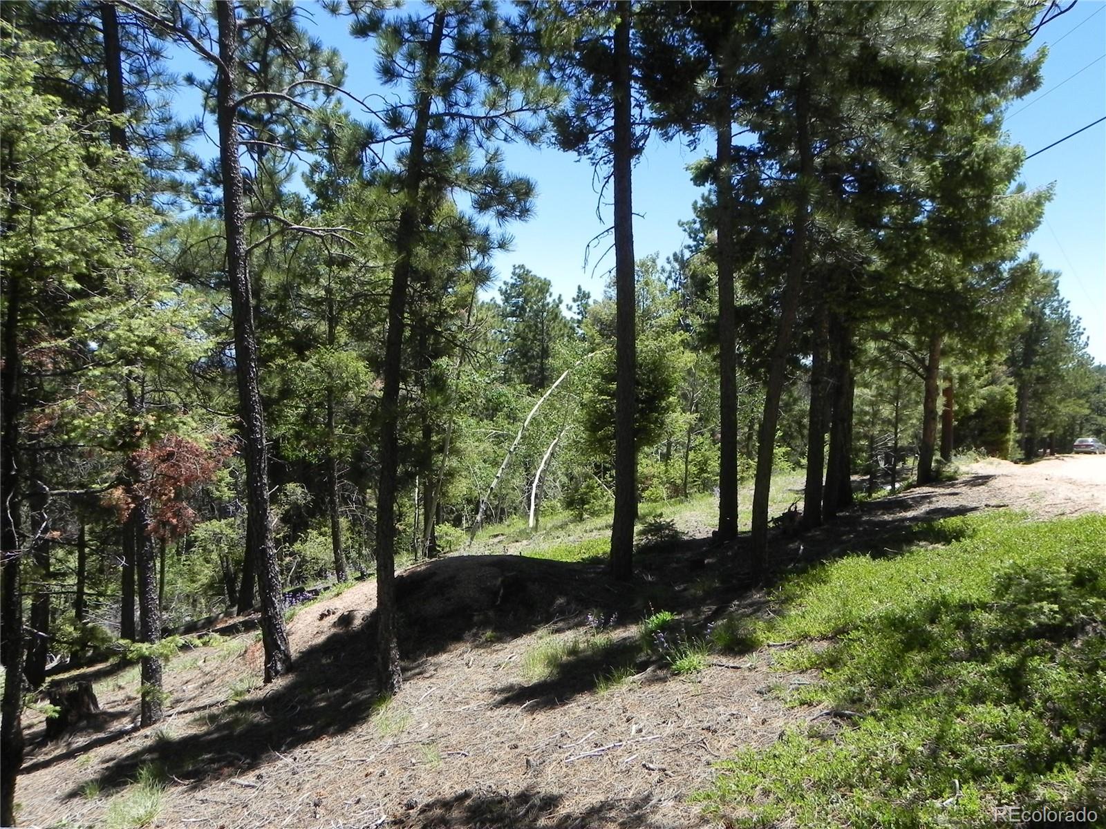 13910 Boulder Lane Larkspur CO 80118