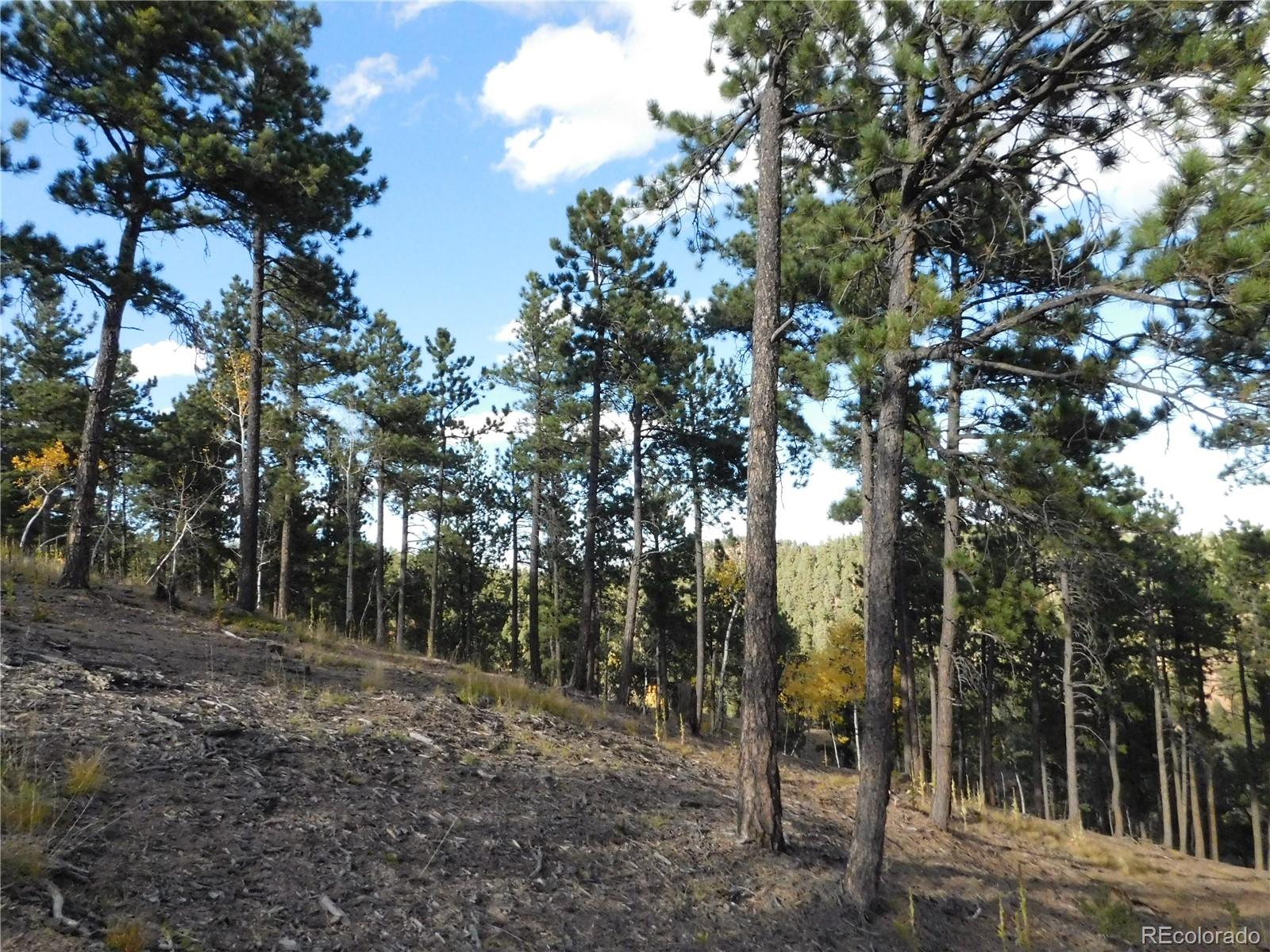 13910 Boulder Lane Larkspur CO 80118