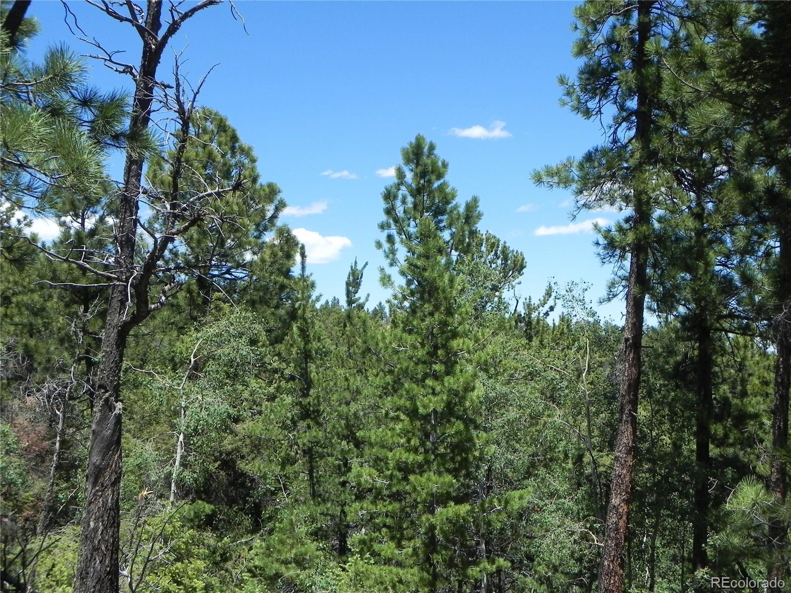 13910 Boulder Lane Larkspur CO 80118
