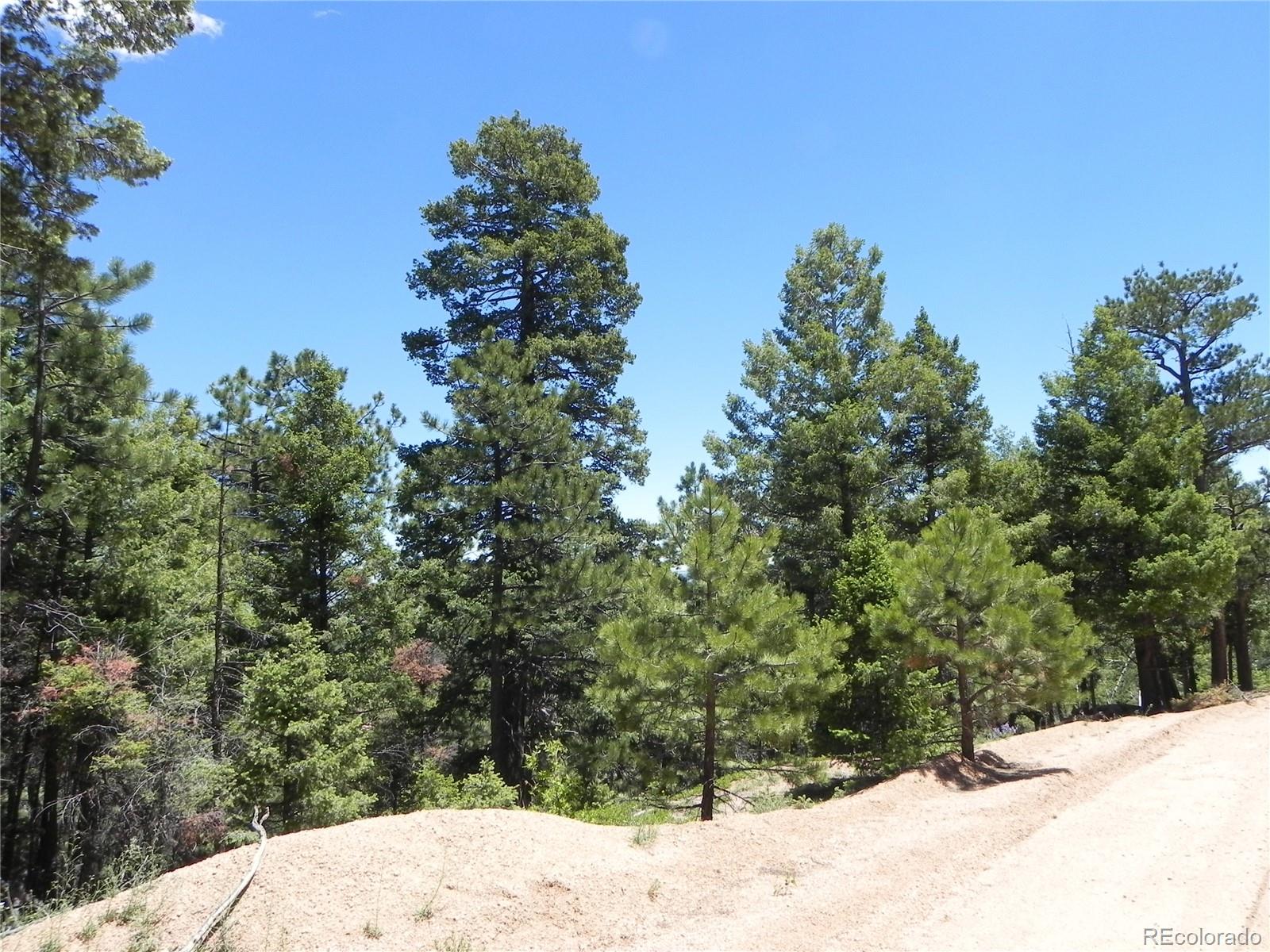 13910 Boulder Lane Larkspur CO 80118