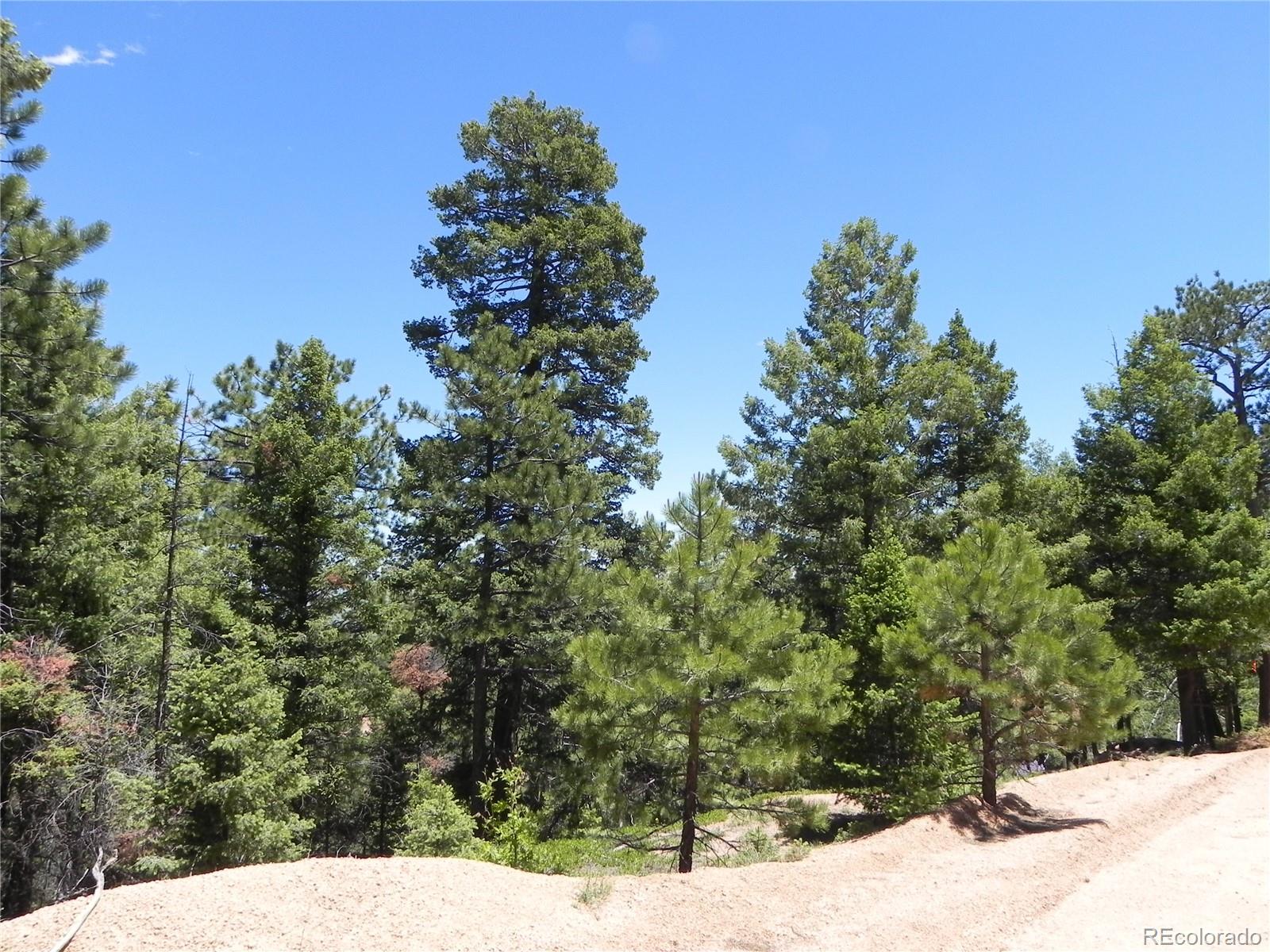 13910 Boulder Lane Larkspur CO 80118