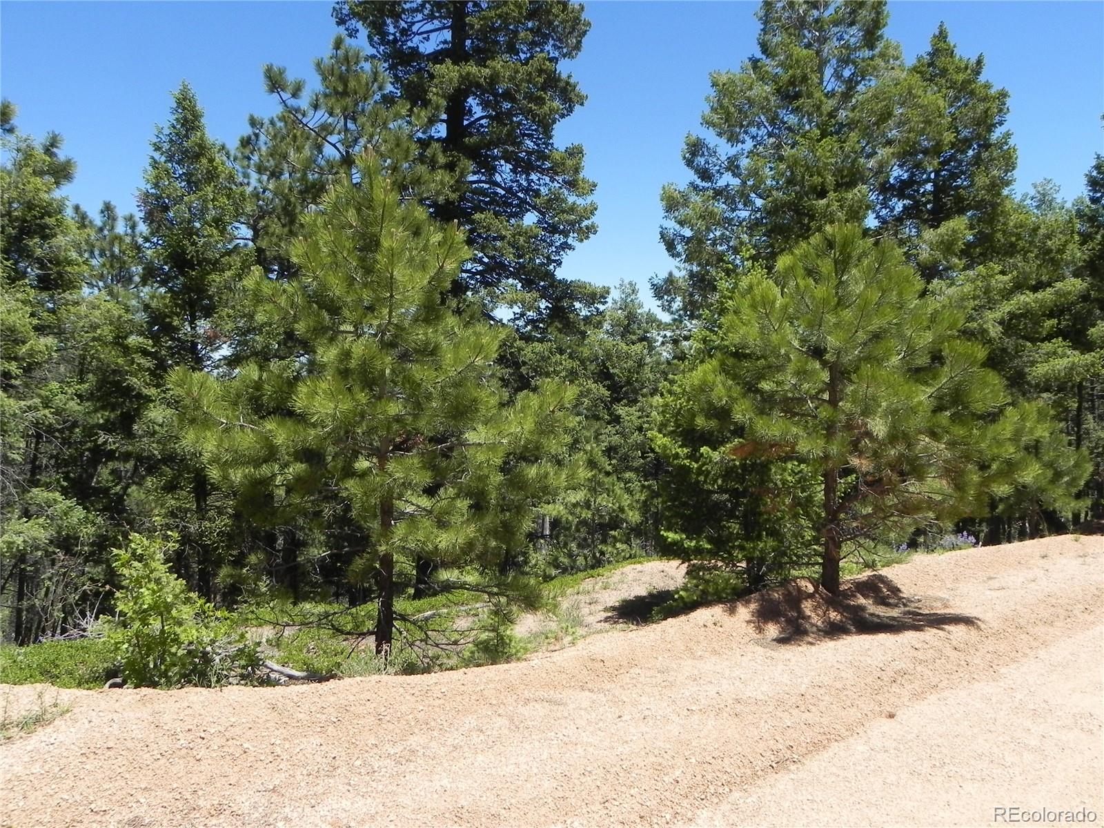 13910 Boulder Lane Larkspur CO 80118
